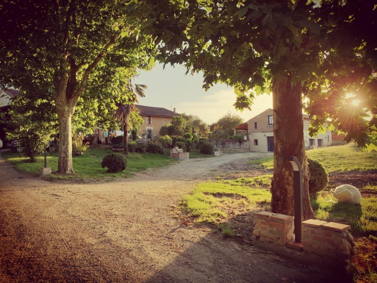 Domaine Des Jammetous - Hotel And Yoga Retreat Center La Magdelaine-Sur-Tarn Ngoại thất bức ảnh